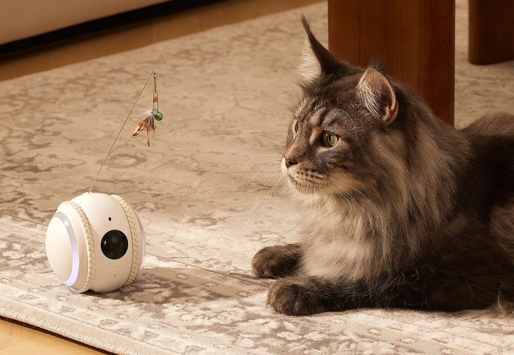 best home security camera for pets