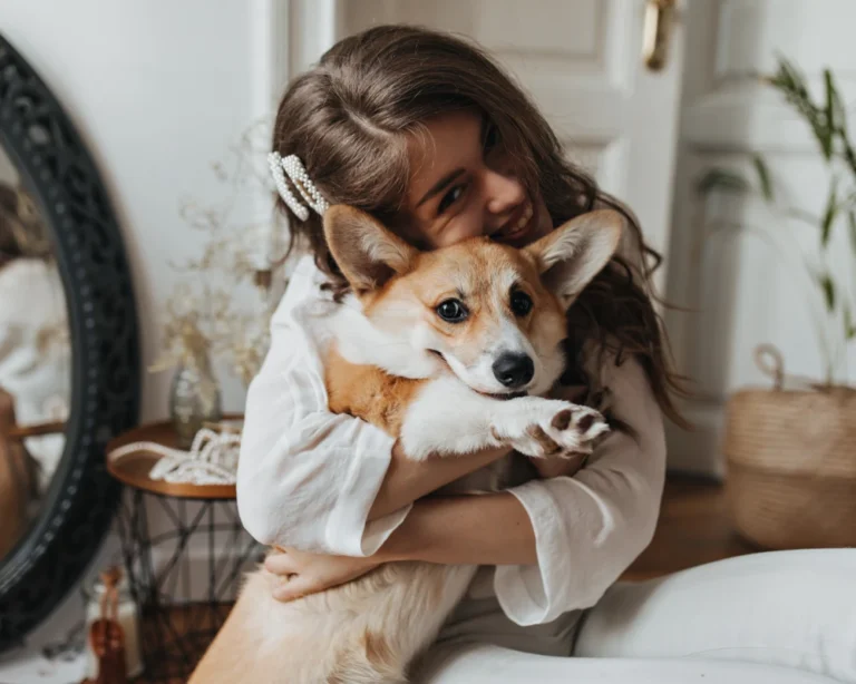 automatic dry food pet feeder